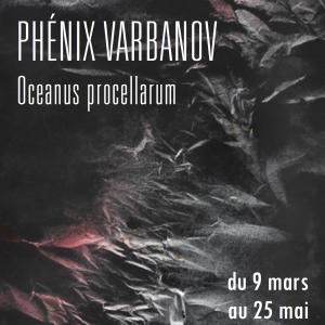 Phénix Varbanov : Oceanus procellarum
